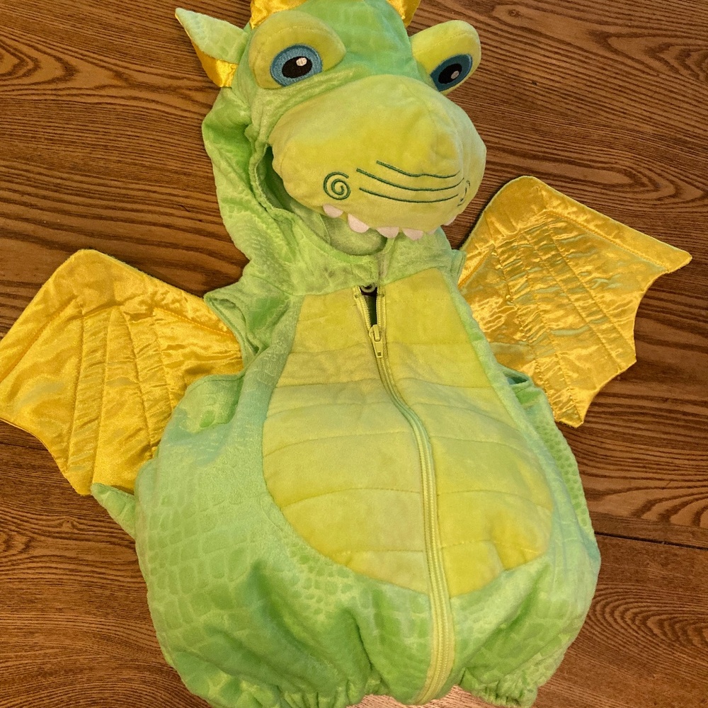 F.A.O. Schwarz  Infant Dinosaur Costume Size 6 -9 months